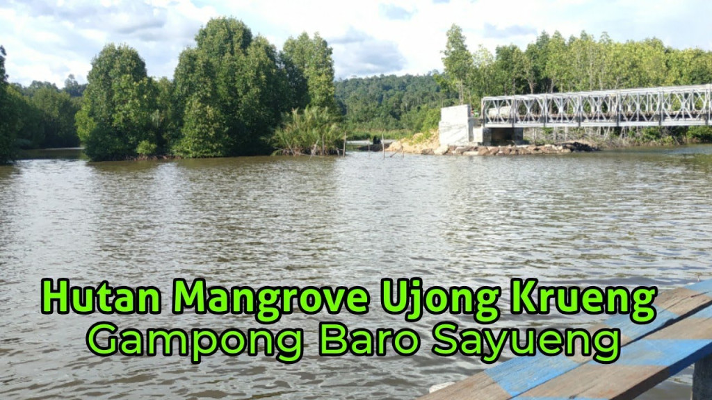 Wisata Hutan Mangrove Ujong Krueng Gampong Baro
